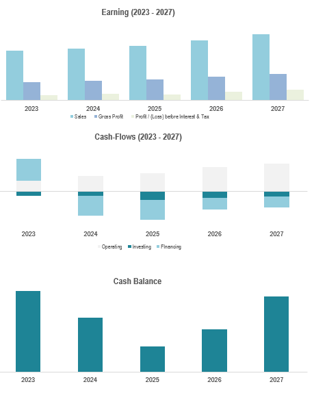Five Year Financial Statement | Cash Flow | Balance Sheet | Income Statement | Forecast Template - Google Sheet