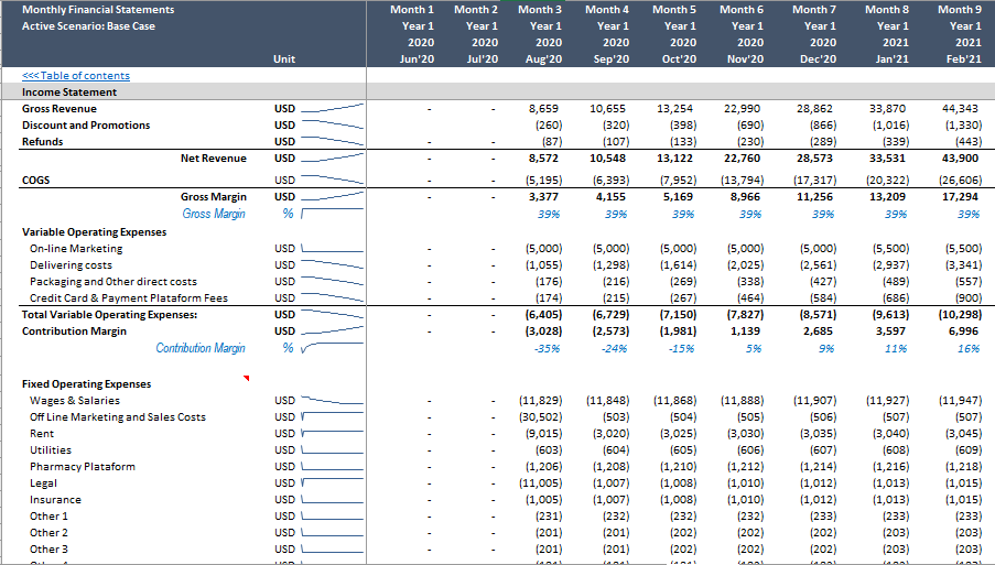 E-commerce Financial Model