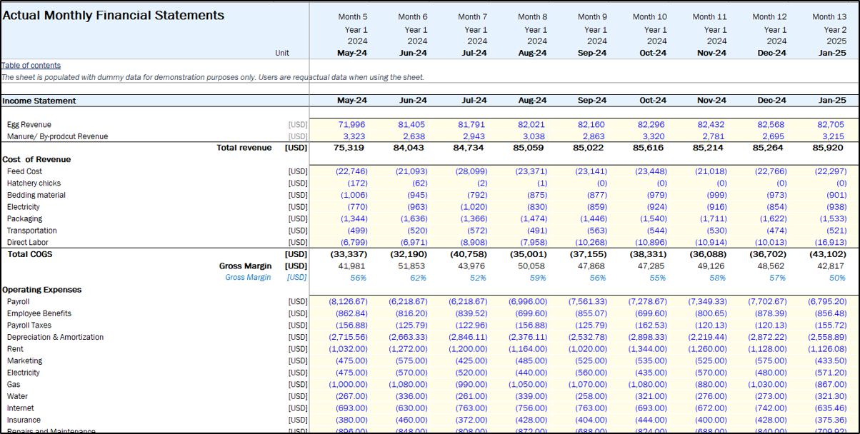 Layer Poultry Farm Financial Projection Model