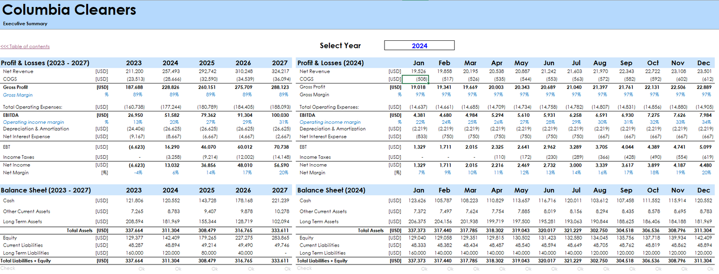 Dry Cleaning Financial Model and Budget Control Template