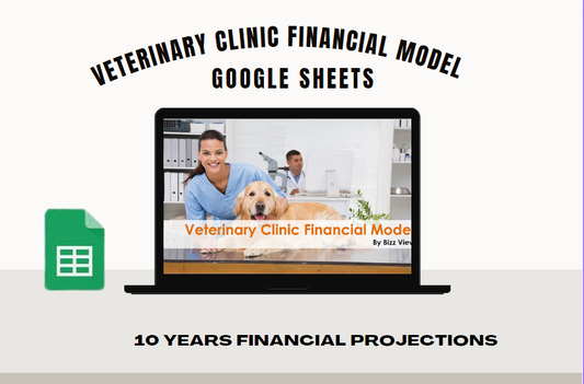 Veterinary Clinic Financial Model and Budget Control - Google Sheets