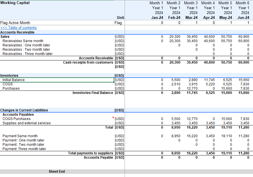 Veterinary Clinic Financial Model and Budget Control - Excel Template